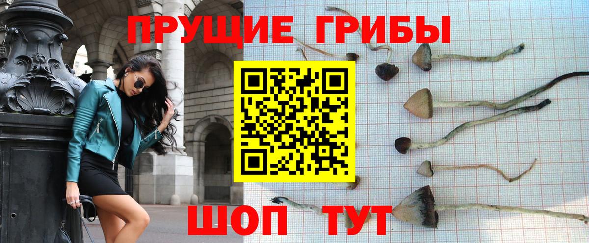 Галлюциногенные грибы Magic Shrooms Ессентуки