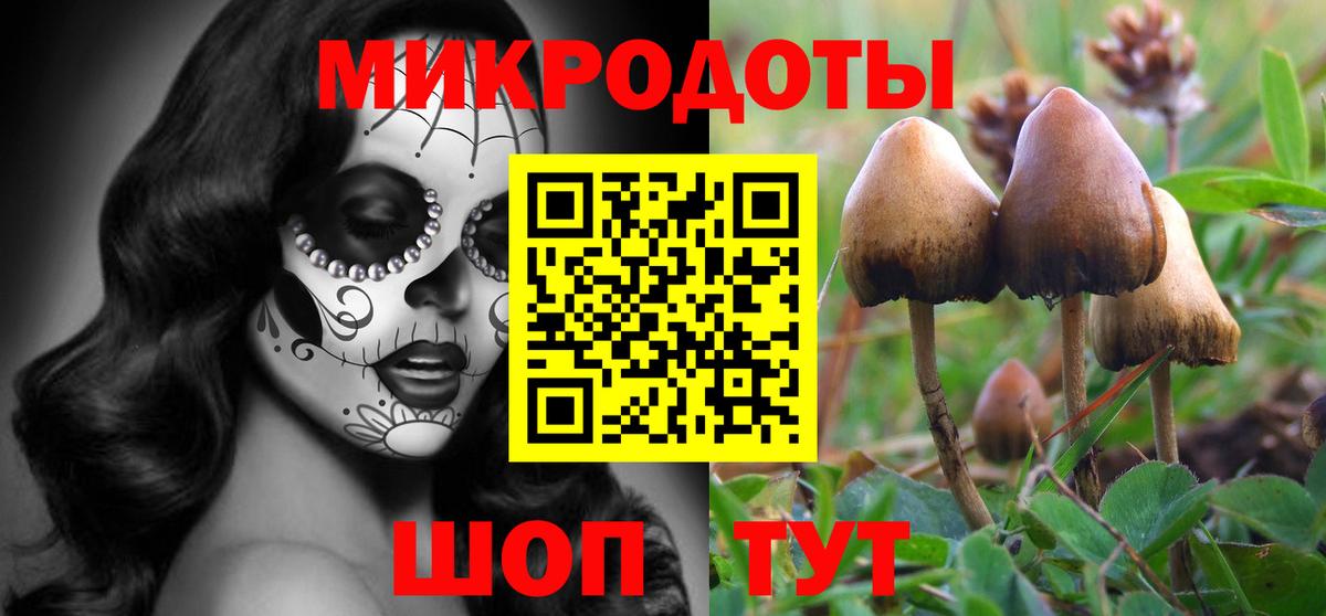 Ессентуки  Галлюциногенные грибы мухоморы  Вход с VPN 